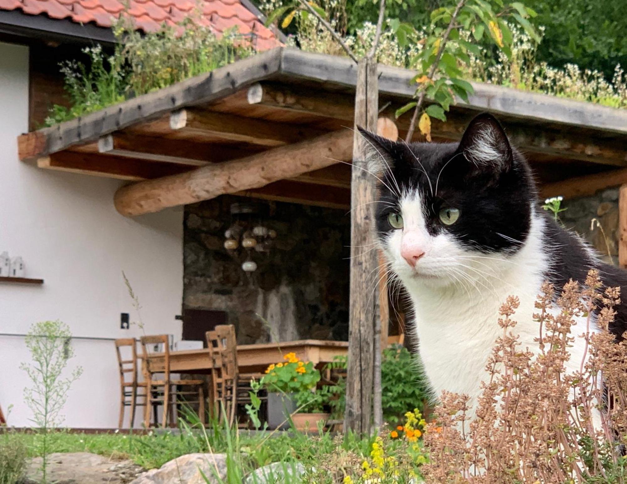 Ferienhaus Krieben Tresdorf ภายนอก รูปภาพ